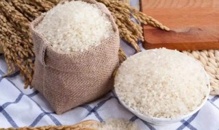 大米长虫可以在太阳下晒吗（大米长虫了可以放在太阳底下晒吗）-九图集