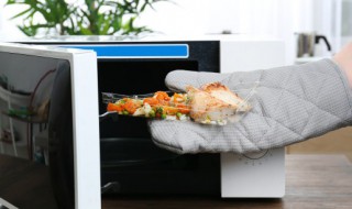 用微波炉烤鸽子要多长时间 电烤炉烤鸽子多久时间-九图集