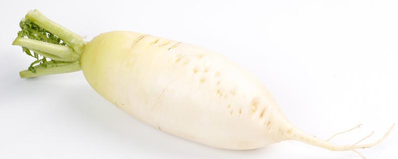 怀孕可以吃青萝卜吗 怀孕了能不能吃青萝卜-九图集