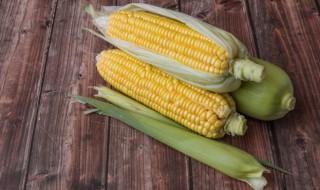 微波炉蒸玉米要多久（微波炉煮玉米一般需要多少长时间）-九图集
