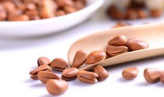 烤箱烤松子大概用多长时间（用电烤箱烤松子用多少温度烤多长时间）