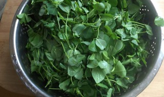 金花菜的做法（酒香金花菜的做法）