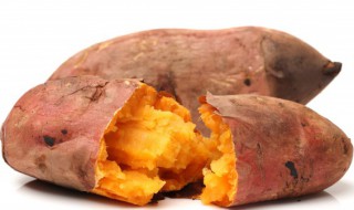 如何用微波炉烤地瓜(怎么用微波炉烤地瓜)-九图集