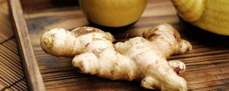 醋泡姜能去湿气吗 醋泡姜可以去湿气吗