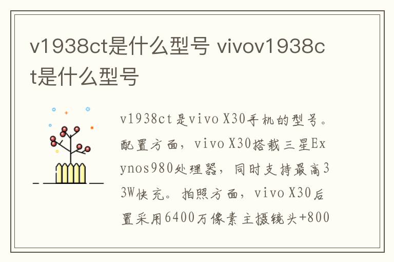 v1938ct是什么型号 vivov1938ct是什么型号-九图集