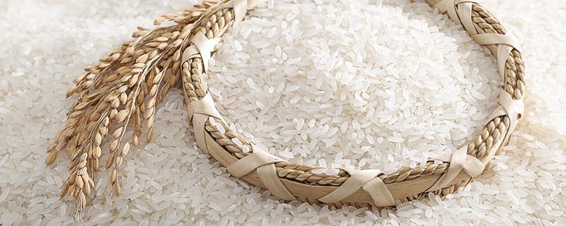 大米过期了还能吃吗 未拆封的大米过期了还能吃吗