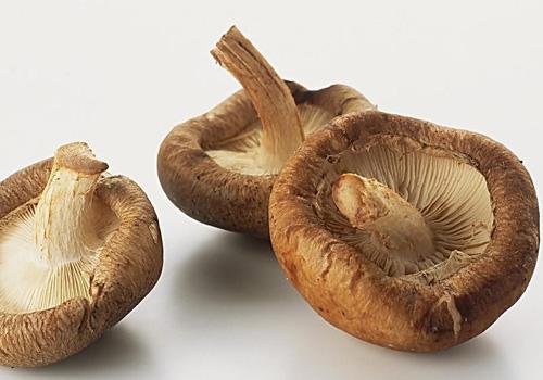 高血脂晚餐吃什么好 高血脂晚餐吃什么好一点-九图集