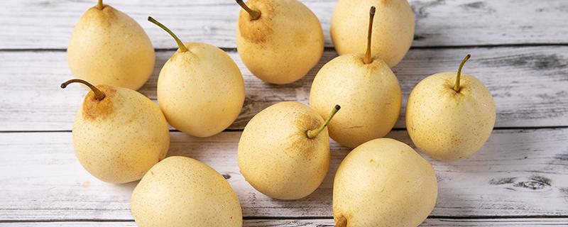 梨和牛油果可以一起吃吗 牛油果能与梨一起吃吗