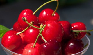 双J和3J的车厘子哪个好 双j车厘子和3j车厘子的区别