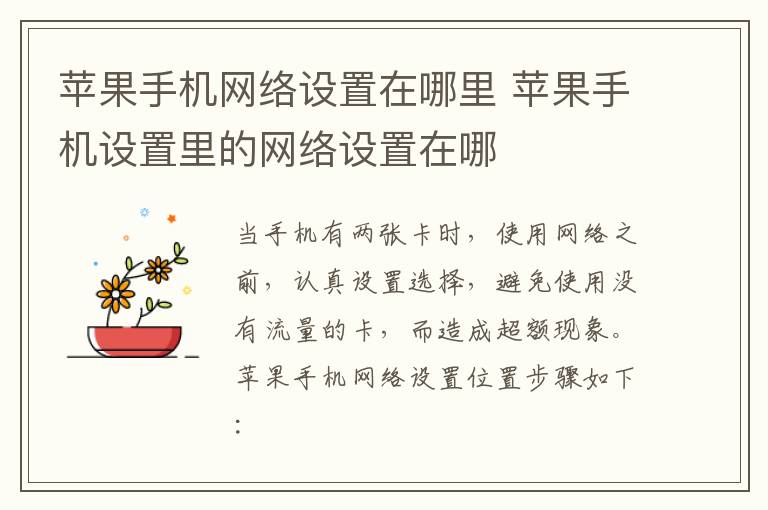 苹果手机网络设置在哪里 苹果手机设置里的网络设置在哪-九图集