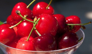 樱桃如何保存时间长 新鲜樱桃如何保存时间长-九图集