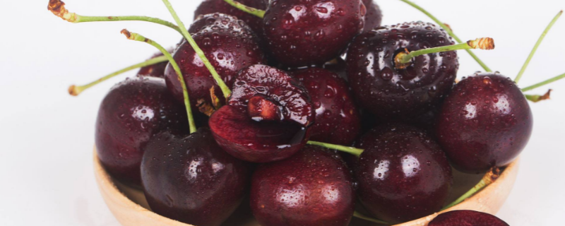 桑提娜是哪个国家的（桑提娜属于哪个国家）