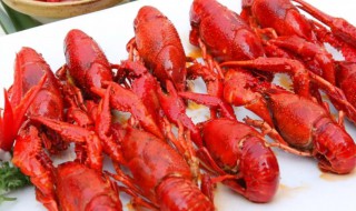 龙虾清洗放盐还是醋 洗龙虾为什么放醋放盐