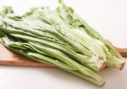 哺乳期可以吃苦菜吗（哺乳期间可以吃苦菜吗?）-九图集