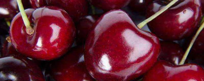 车厘子2jd是3j吗(车厘子2j3j是什么意思)