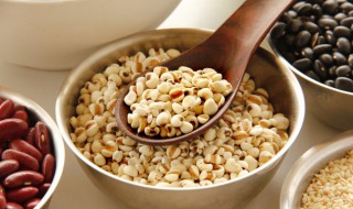 急薏米仁煮多长时间会熟(薏仁煮熟要多久)