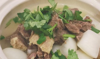 牛肉炖萝卜里还需要放什么(萝卜炖牛肉还能加什么)-九图集