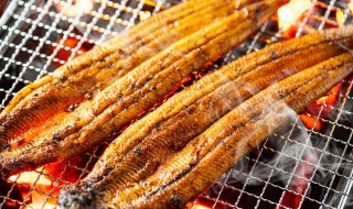 微波炉烤鱼多长时间行吗 微波炉烤鱼一般烤多久