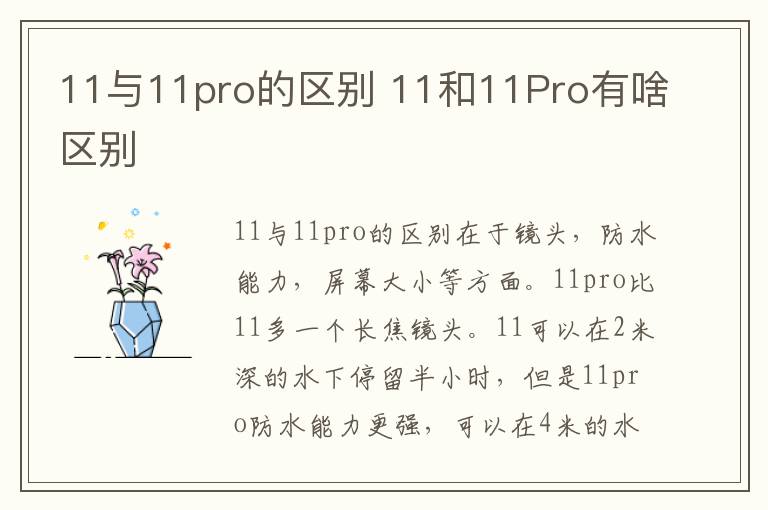 11与11pro的区别 11和11Pro有啥区别-九图集
