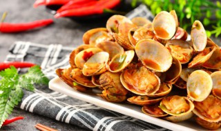 煮熟花甲放冰箱隔夜能吃吗（煮好的花甲能隔夜吃吗）-九图集