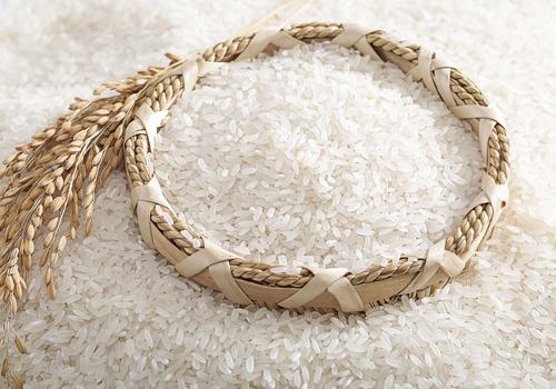 大米泡一晚上能吃吗(大米泡了一上午还能吃吗)-九图集