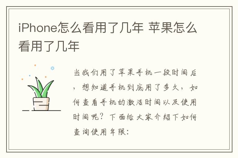 iPhone怎么看用了几年 苹果怎么看用了几年-九图集
