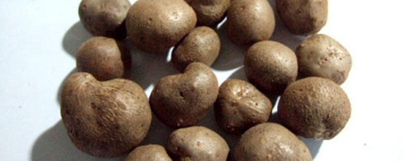 什么人不能吃山药豆（什么人不能吃山药豆腐）-九图集