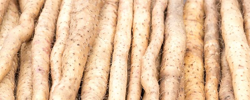 干山药有什么作用(干山药有什么作用和功效)-九图集