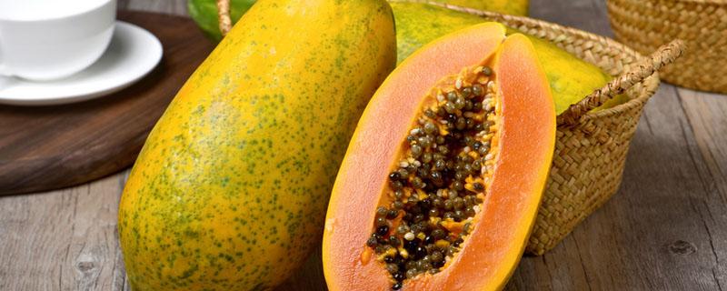 木瓜和什么不能一起吃（木瓜和什么不能一起吃?）-九图集