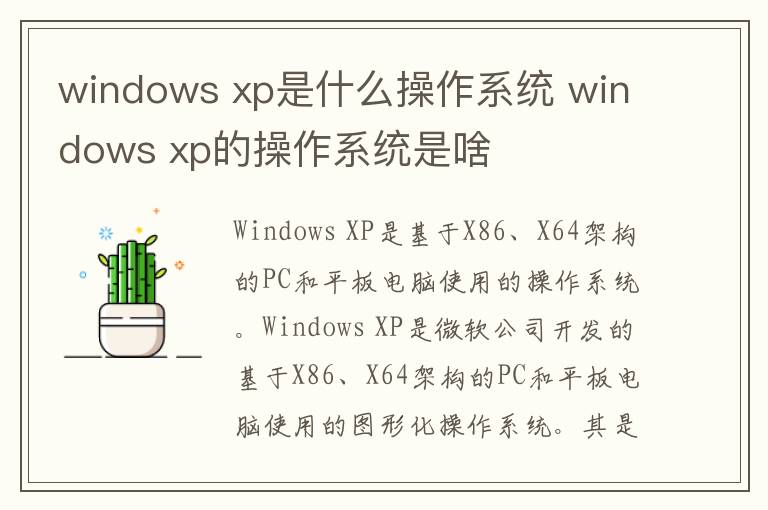 windows xp是什么操作系统 windows xp的操作系统是啥-九图集