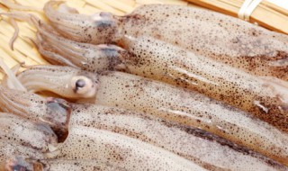 鱿鱼蒸几分钟才熟 鱿鱼一般蒸几分钟熟