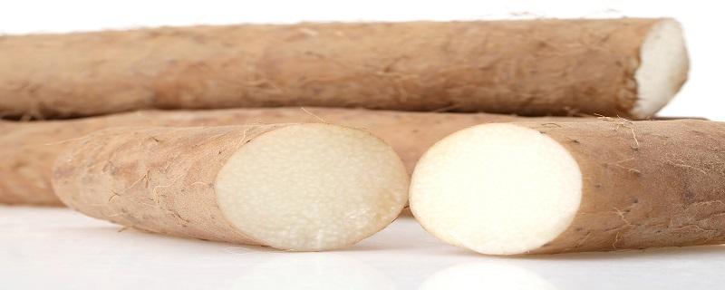 山药可以每天吃一点吗(山药可以每天吃一点吗宝宝)-九图集