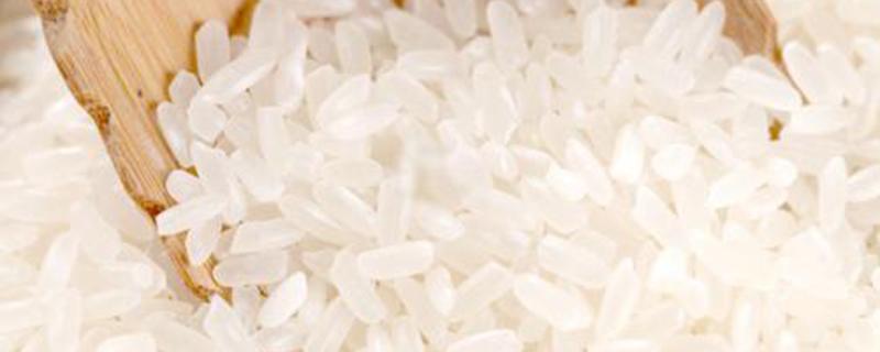 大米的营养价值(大米营养价值)-九图集