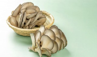 蘑菇怎样保存时间长 蘑菇怎样保存时间长一点