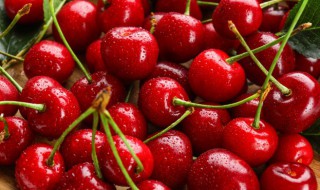 车厘子双J和3J有什么区别 车厘子2j和3j有什么区别-九图集