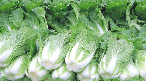 防癌食物有哪些 防癌的六种食物