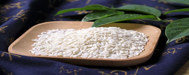 糯米和大米的区别（糯米和大米哪个热量高）-九图集