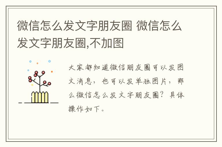 微信怎么发文字朋友圈 微信怎么发文字朋友圈,不加图-九图集