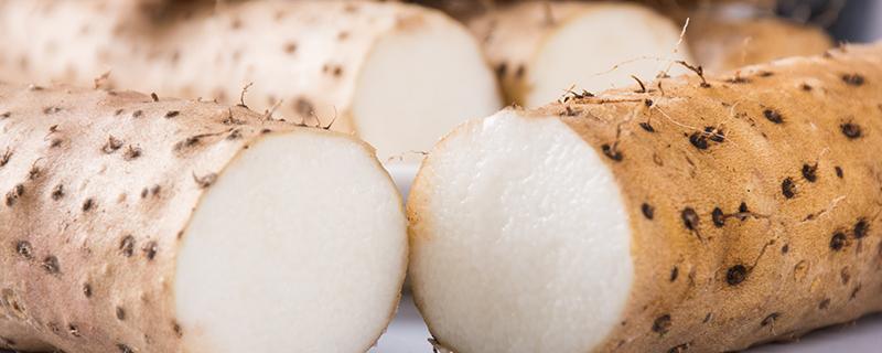 菜山药有什么好处（菜山药有营养价值吗）-九图集