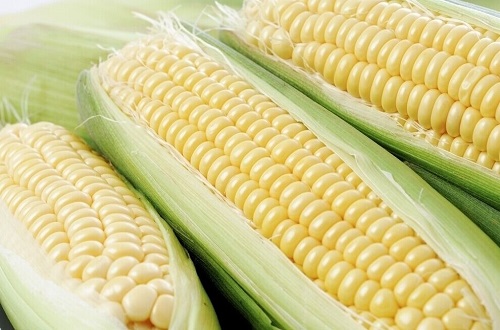 吃什么食物防癌（吃什么食物防癌抗癌）-九图集