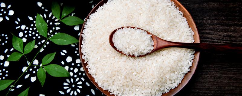 大米热量是多少 大米热量是多少卡-九图集