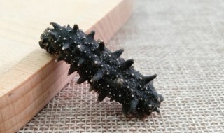 干海参煮多长时间为宜 干海参一般煮多长时间-九图集