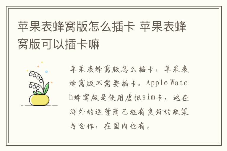 苹果表蜂窝版怎么插卡 苹果表蜂窝版可以插卡嘛-九图集