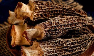 羊肚菌用冷水还是热水泡（羊肚菌可以用热水泡吗）-九图集