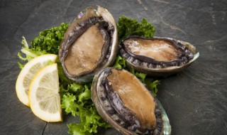 鲍鱼几分钟可以煮熟（鲍鱼煮多少分钟能熟啊）-九图集