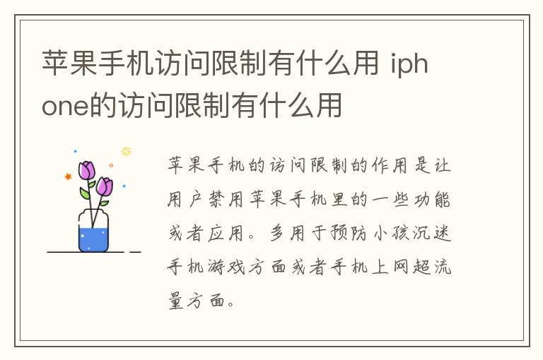 苹果手机访问限制有什么用 iphone的访问限制有什么用-九图集