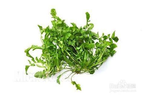 养肝护肝的食物有哪些（健肝补肝养肝护肝的食物有哪些）