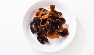 泡木耳多长时间不能吃 木耳泡多长时间不可以吃-九图集