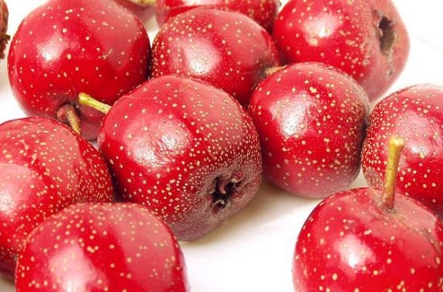 肠胃不好不能吃什么水果(肠胃不好不能吃什么水果?)-九图集