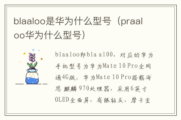blaaloo是华为什么型号(praaloo华为什么型号)-九图集
